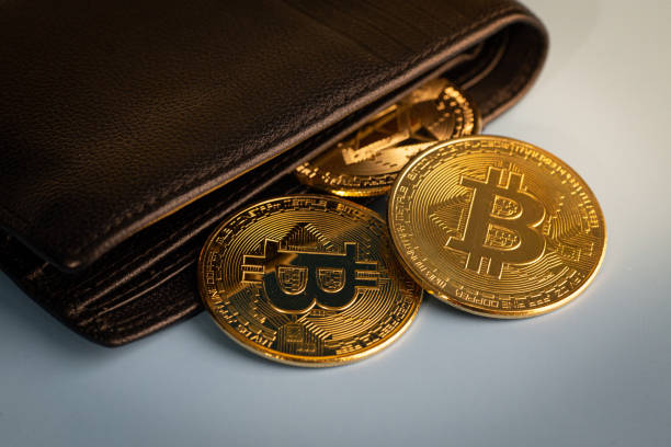Les Risques de Fraude Liés aux Cryptomonnaies et Comment S’en Protéger
