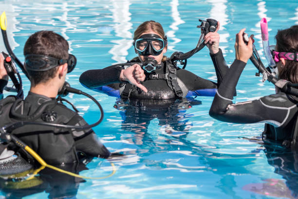 Les Meilleurs Endroits pour Faire de la Plongée Sous-Marine