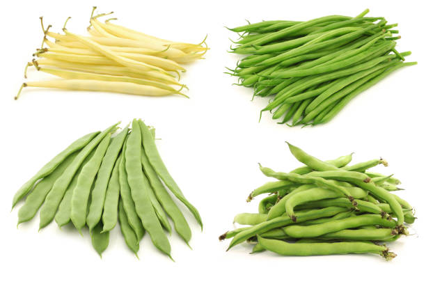 Haricots verts vs haricots secs : avantages et inconvénients de chaque type