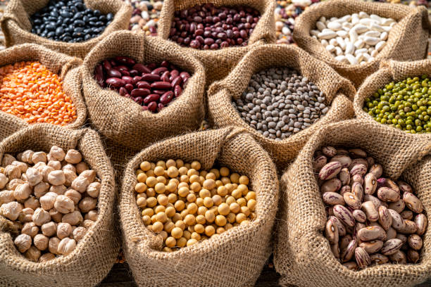 Les différentes variétés de haricots : comment choisir celle qui convient le mieux à votre jardin ?