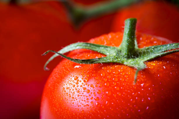 Les tomates et la santé bucco-dentaire : leur effet sur la santé des gencives et des dents