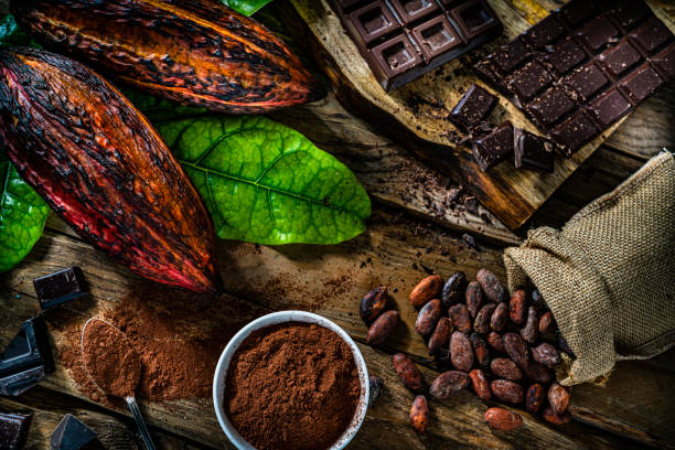 Découvrir les Mystères du Cacao : Mythes et Légendes de son Histoire Ancienne