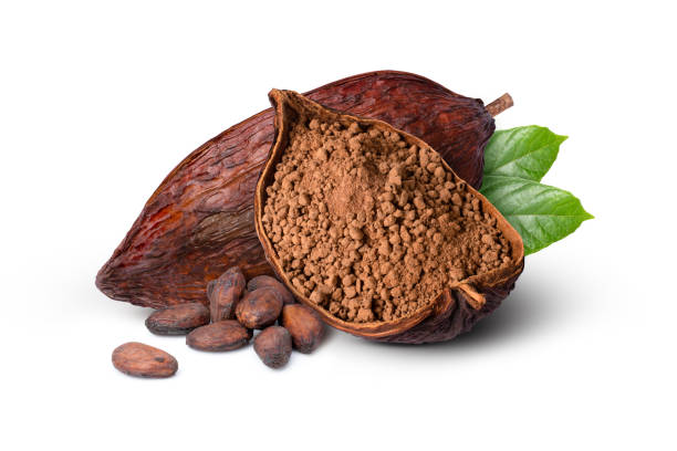 Les Variations Régionales dans la Culture et la Production de Cacao : Décryptage des Saveurs du Monde