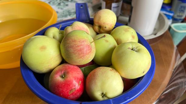 Les 10 meilleures variétés de pommes pour la culture à la maison