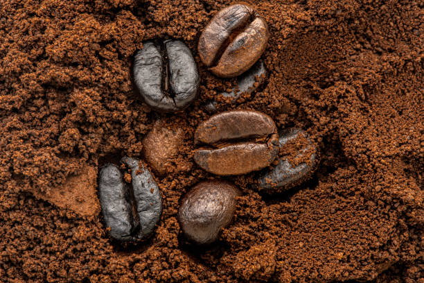 Évitez les faux pas : Les erreurs à éviter lors de la mouture des grains de café pour une extraction optimale