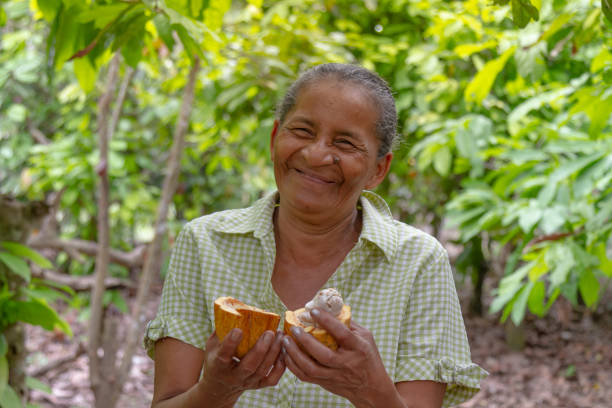 L’impact de la fermentation sur le goût et la qualité des fèves de cacao