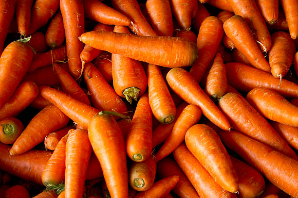 Le marché des carottes biologiques : tendances et perspectives