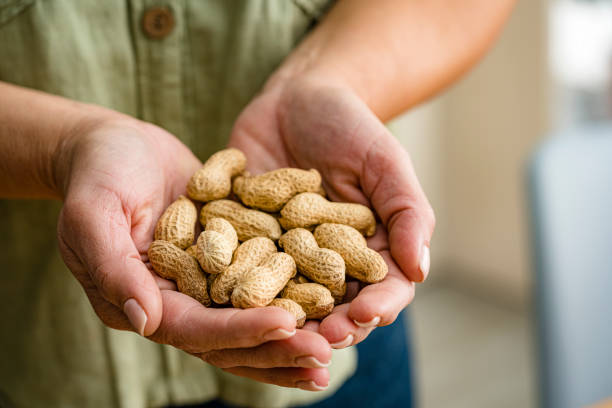 Les arachides dans la lutte contre la faim dans le monde : initiatives et projets