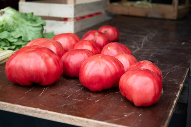 Les bienfaits nutritionnels des tomates : pourquoi elles sont bonnes pour vous