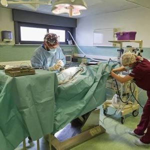 Comment choisir un spécialiste expérimenté en Chirurgie mini-invasive ?