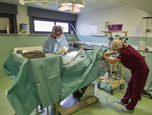 Comment choisir un spécialiste expérimenté en Chirurgie mini-invasive ?